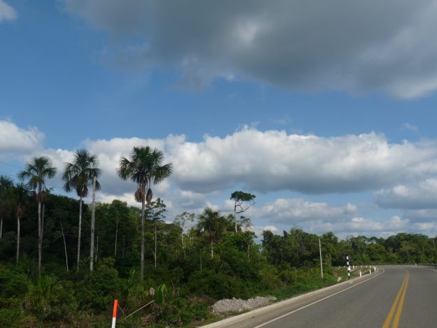 P1100234