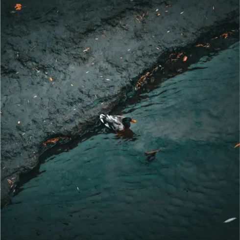 energia-hidrocarburos06 energia-hidrocarburos06